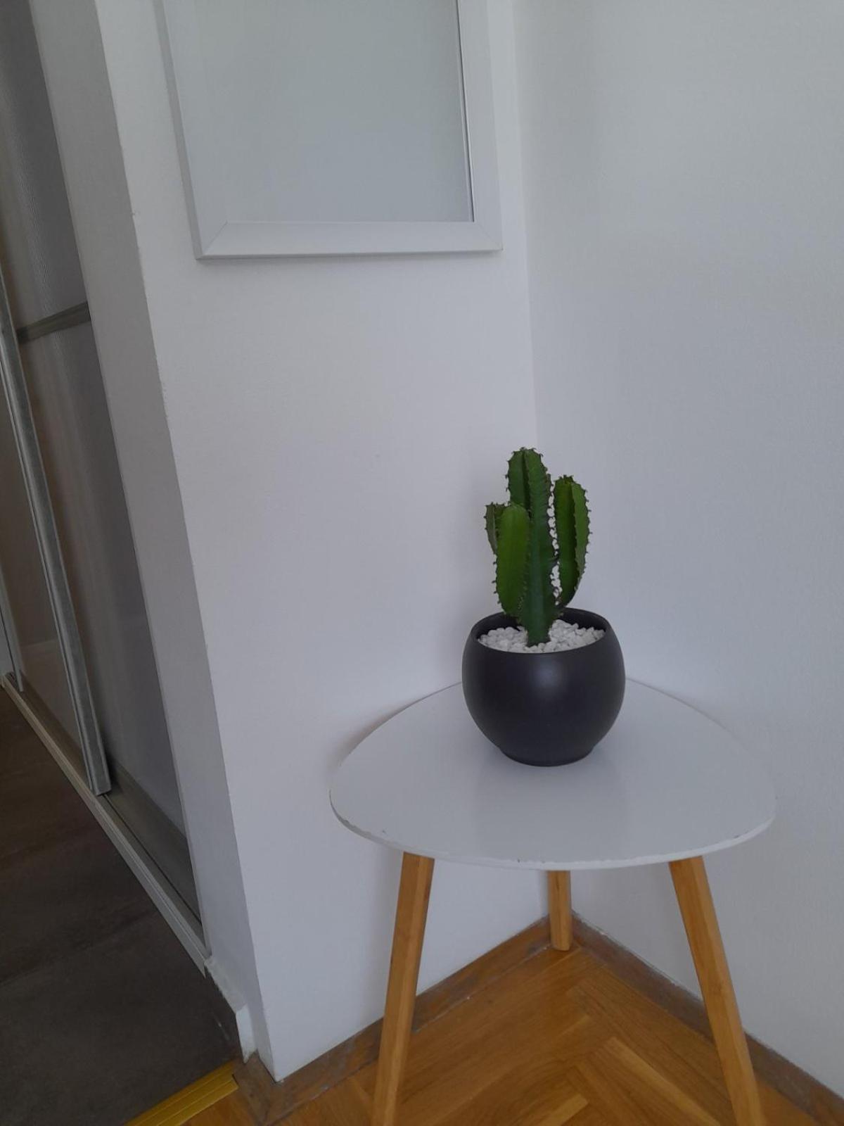 Nikola Ns Apartment Novi Sad Luaran gambar